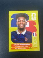 Panini FIFA World Cup Sticker FRA 9